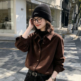 ブラウンの長袖シャツ 着用 立ちポーズ